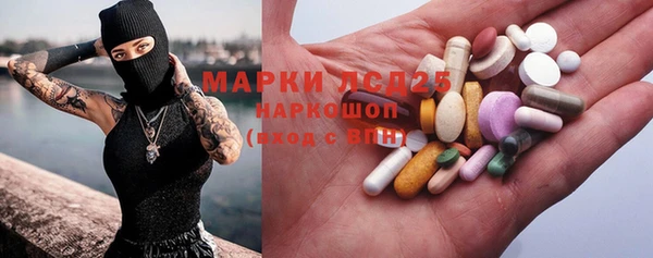индика Киреевск