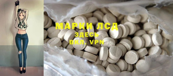 индика Киреевск