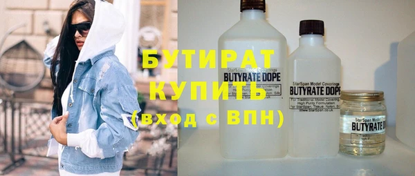 индика Киреевск
