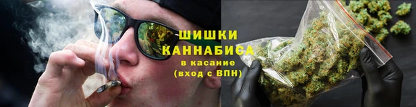 индика Киреевск