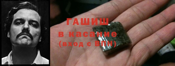 индика Киреевск
