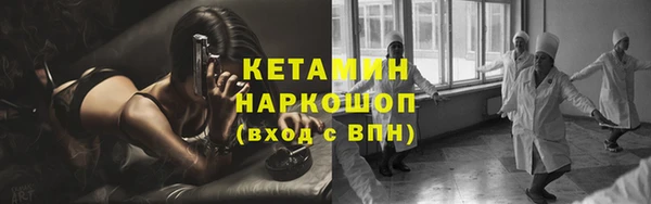 индика Киреевск
