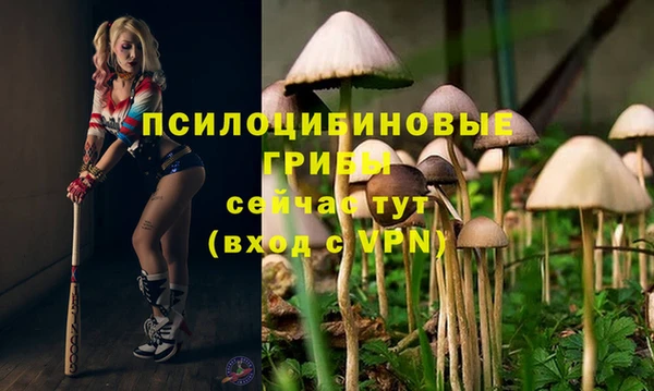 индика Киреевск