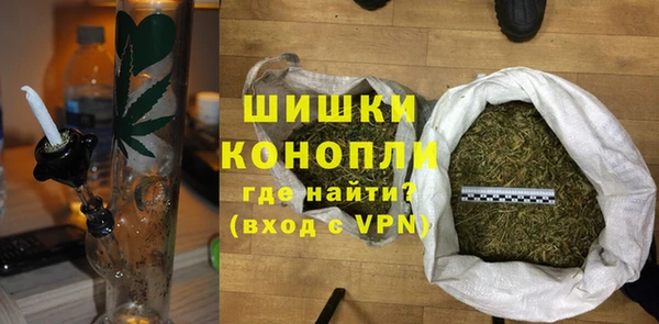 индика Киреевск
