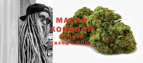индика Киреевск