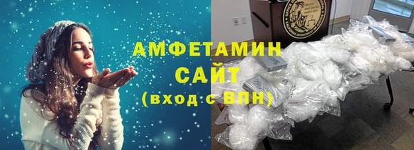 индика Киреевск