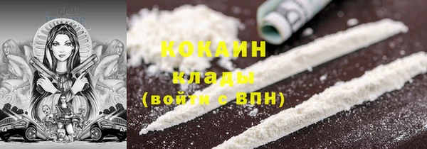 индика Киреевск