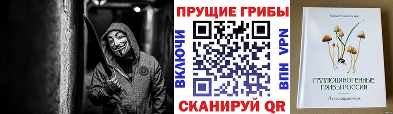 Псилоцибиновые грибы мухоморы  Купить где  Петушки 